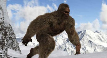 7分钟了解!微信金花挂在哪里购买-链接教程- 7分钟了解!微信金花挂在哪里购买-链接教程-