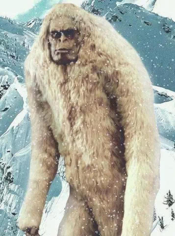 基本科普微信上玩二八杠房卡在哪买-链接如何购买 基本科普微信上玩二八杠房卡在哪买-链接如何购买