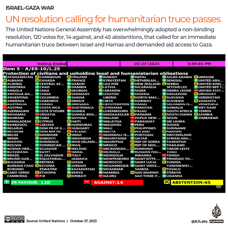 UN resolution calling for humanitarian truce passes-Gaza