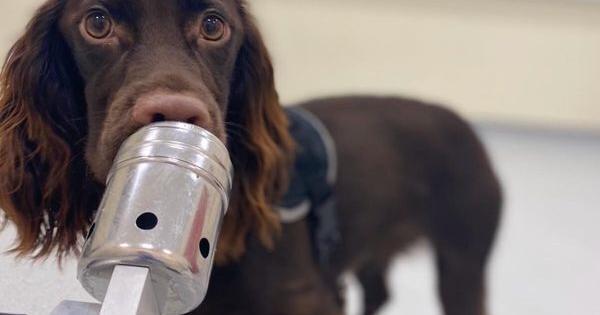 房卡一分钟“九神大厅正版微信金花房卡”房卡详细使用教程