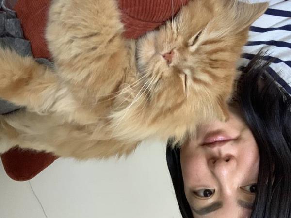 房卡一分钟了解“微信链接牛牛房间房卡”房卡详细使用教程