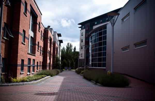 玩家必知新皇豪牛牛房卡-链接找谁买-