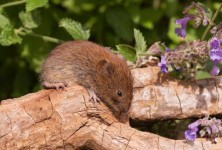 万能开挂辅助“长虹大厅有没有挂”详细开挂玩法