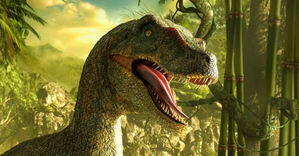 最新教你“开心十三张开挂方法”(曝光透视必备猫腻)