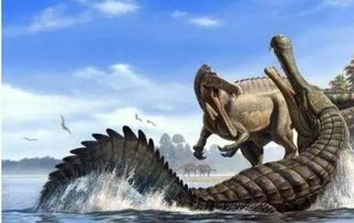 玩家必看“神盾大厅房卡”房卡详细使用教程