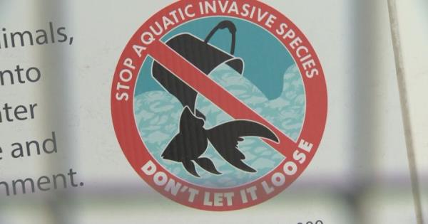 秒懂教程“金牛座房卡客服”详细房卡教程