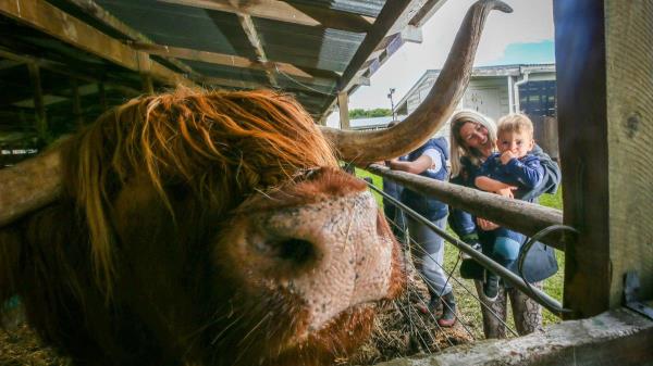 房卡一分钟了解“新卡农大厅房卡
”房卡详细使用教程