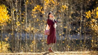 秒懂教程“新版道游房卡在哪里买”获取房卡教程