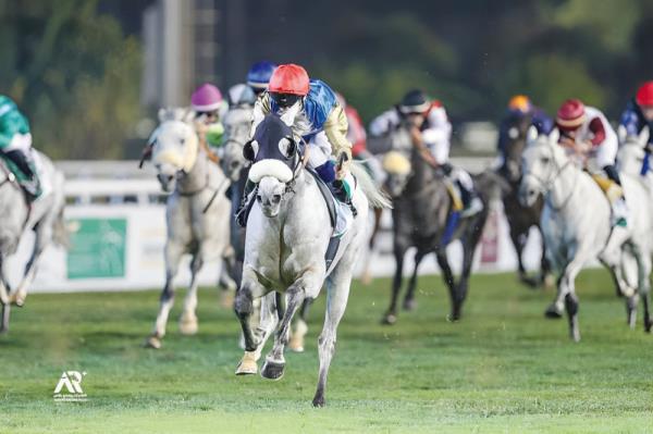 分享干货微信炸金花房卡在哪充值-(详细分享开挂教程) 分享干货微信炸金花房卡在哪充值-(详细分享开挂教程)