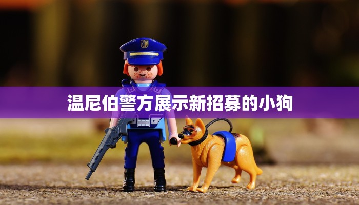 温尼伯警方展示新招募的小狗 温尼伯警方展示新招募的小狗