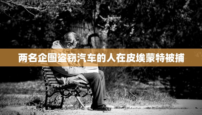 两名企图盗窃汽车的人在皮埃蒙特被捕