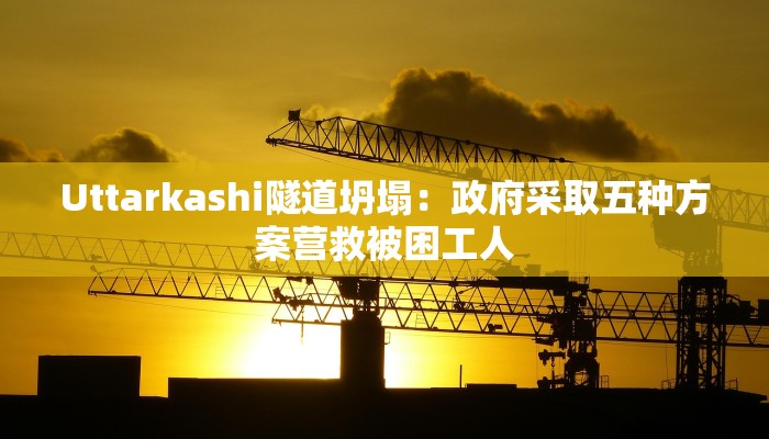 玩家必看“微信白虎链接大厅房卡”详细房卡教程