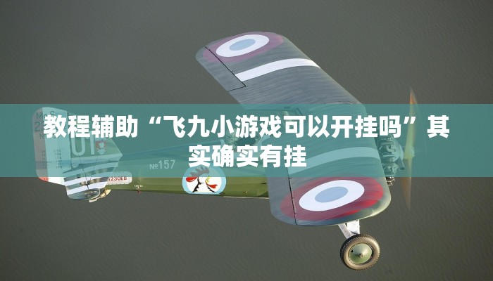 朝鲜在延坪岛附近发射了60发炮弹