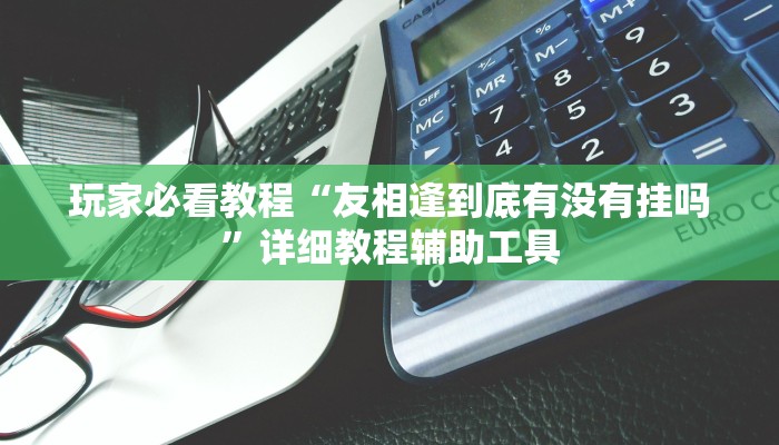 玩家必看教程“友相逢到底有没有挂吗”详细教程辅助工具 玩家必看教程“友相逢到底有没有挂吗”详细教程辅助工具