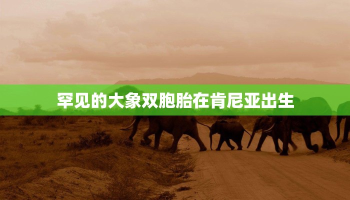 房卡一分钟“牛牛房卡链接”详细房卡教程