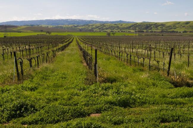 一分钟介绍“微信牛牛链接”房卡详细使用教程