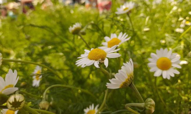 (2分钟教程)如何创建微信斗牛房间-(详细分享开挂教程) (2分钟教程)如何创建微信斗牛房间-(详细分享开挂教程)
