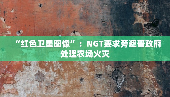 一分钟知道“微信玩金花怎么创建房间”详细房卡怎么购买教程推荐一款