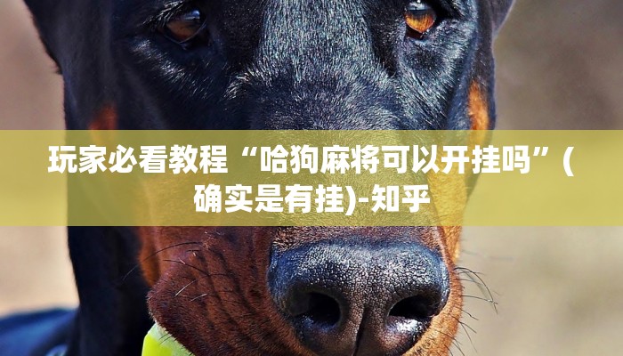 玩家攻略必备aapoker辅助器作怎么用! 揭晓辅助插件内幕详情