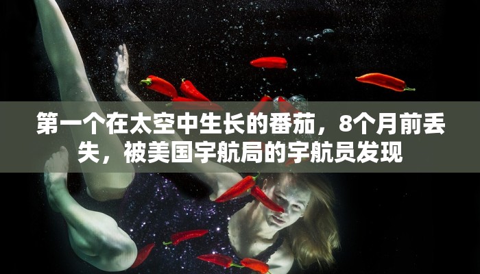 一分钟了解“微信链接大厅金花拼三张牛牛房卡”房卡详细使用教程