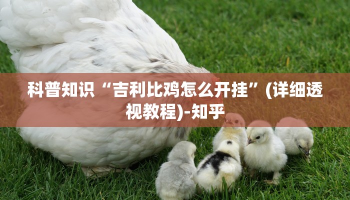 全渠道普及“新青鸟拼三张房卡”获取房卡教程