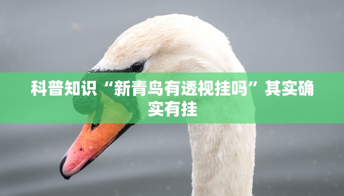 房卡一分钟了解“牛魔王大厅链接炸金花”房卡详细使用教程