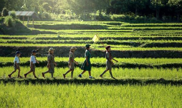 全渠道了解“新八戒房卡怎么搞”详细房卡教程 全渠道了解“新八戒房卡怎么搞”详细房卡教程