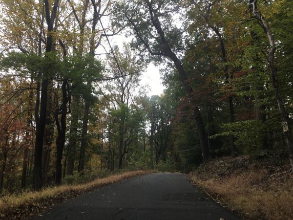 全渠道了解“牛牛大厅房卡哪里买”详细步骤 全渠道了解“牛牛大厅房卡哪里买”详细步骤