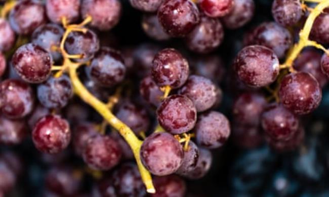 秒懂教程“微信金花房卡怎么搞”详细步骤