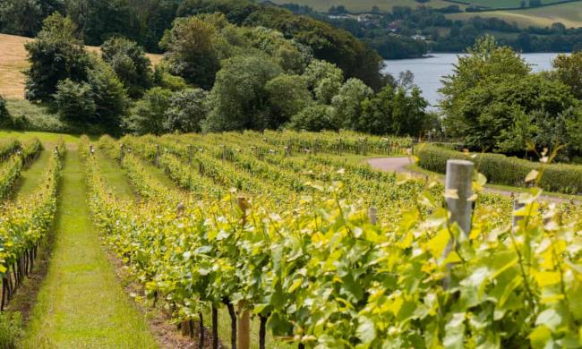 一分钟介绍使用“微信斗牛平台链接房卡-(详细分享开挂教程) 一分钟介绍使用“微信斗牛平台链接房卡-(详细分享开挂教程)