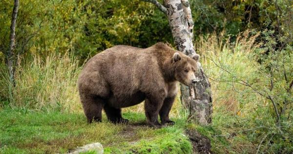 一分钟普及“微信群斗牛房卡如何充值-链接教程-