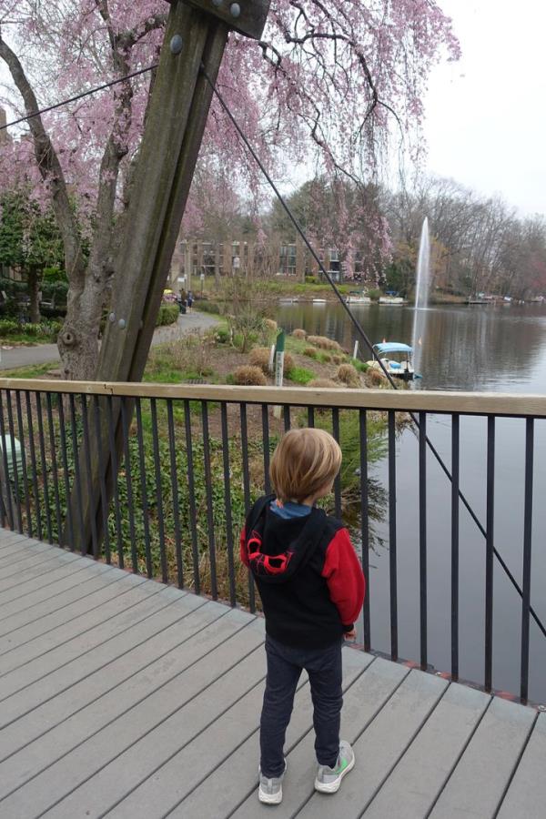 玩家攻略“微信链接大厅房卡拼三张房卡”详细房卡教程