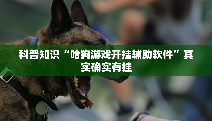 一分钟了解“新卡农拼三张房卡
”房卡详细使用教程