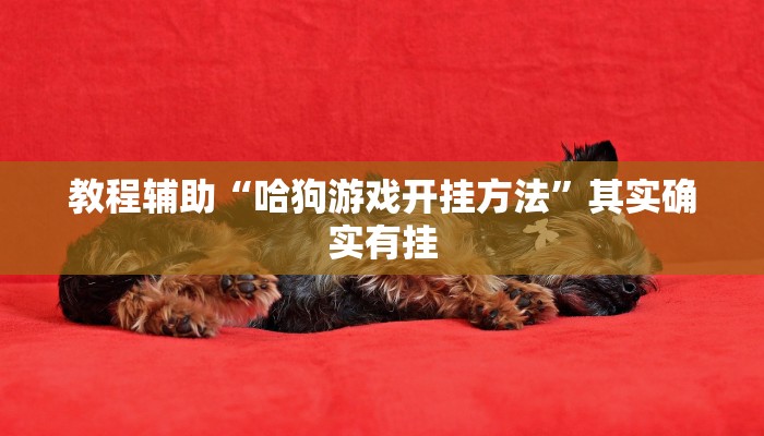 房卡一分钟“微信毛豆互娱链接大厅房卡”详细房卡教程