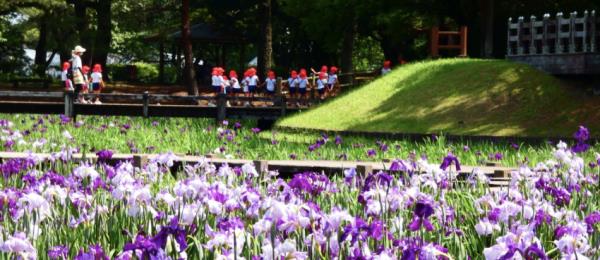 秒懂教程“新海贝大厅牛牛如何购买房卡”详细房卡教程