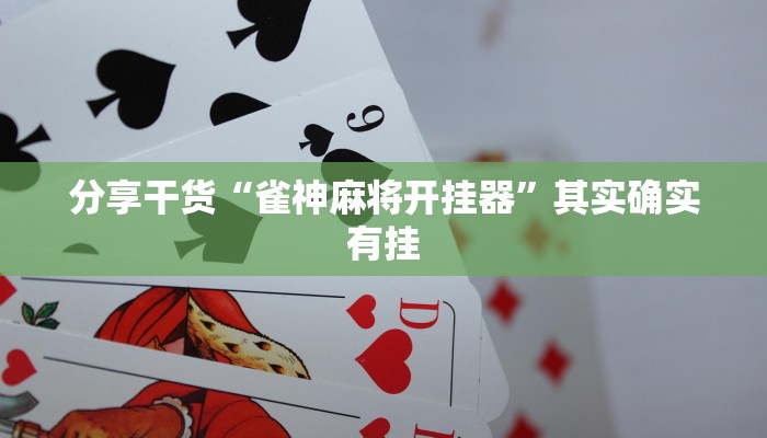 玩家辅助神器：“新蛮王大厅有透视挂吗”(原来确实是有挂)