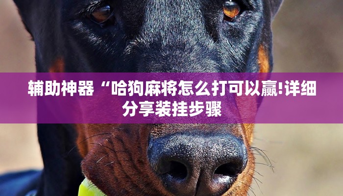 6分钟了解!如何创建微信斗牛房间-(详细分享开挂教程)