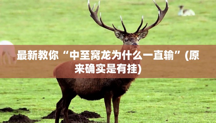 7分钟了解!如何在微信里开金花房间-购买房卡介绍