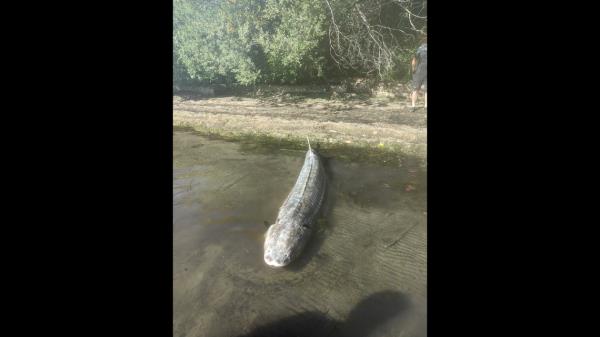 秒懂”皇豪互娱购买房卡-链接教程-