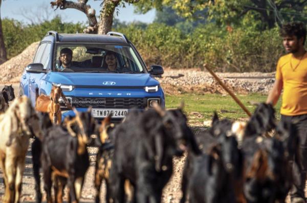 一分钟了解“毛豆链接拼三张房卡在哪买”详细房卡教程
