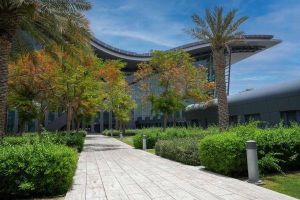 玩家辅助神器：“点点四川长牌透视开挂!详细分享装挂步骤