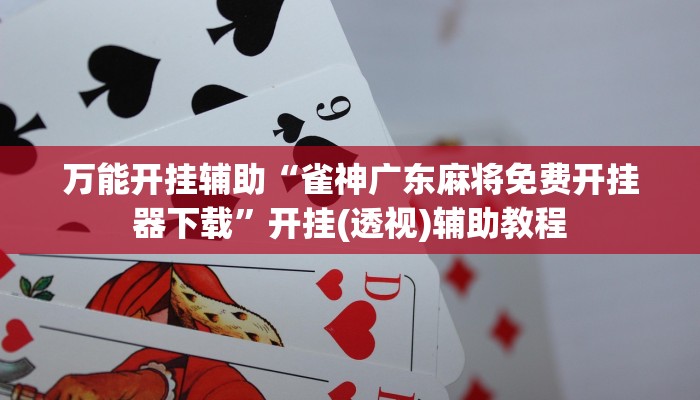 玩家辅助神器：“微乐跑得快如何让系统发好牌”分享用挂教程