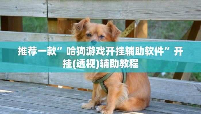 推荐一款“可以自己创建金花房间的APP”怎样买房卡