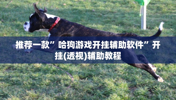 秒懂教程“宝马大厅牛牛炸金花房卡”获取房卡教程