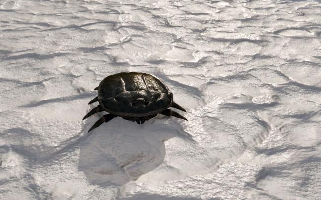 一分钟普及“二号大厅怎么买房卡-链接教程-