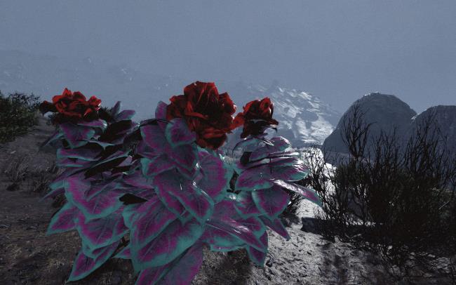 一分钟了解“链接炸金花房卡”房卡详细使用教程 一分钟了解“链接炸金花房卡”房卡详细使用教程