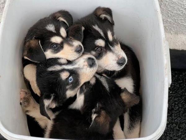 玩家必看“关于炸金花房卡去
”房卡详细使用教程