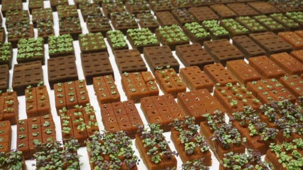 分享实测“天酷大厅在哪里买房卡-链接教程-