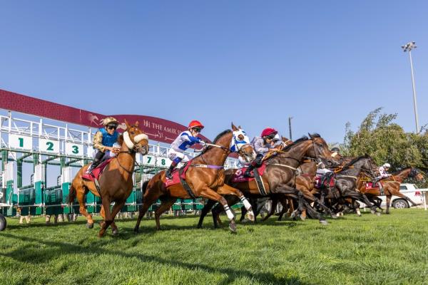 房卡一分钟了解“生肖牛房卡大厅
”房卡详细使用教程