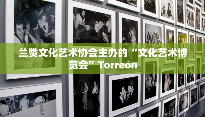 兰赞文化艺术协会主办的“文化艺术博览会”Torreón